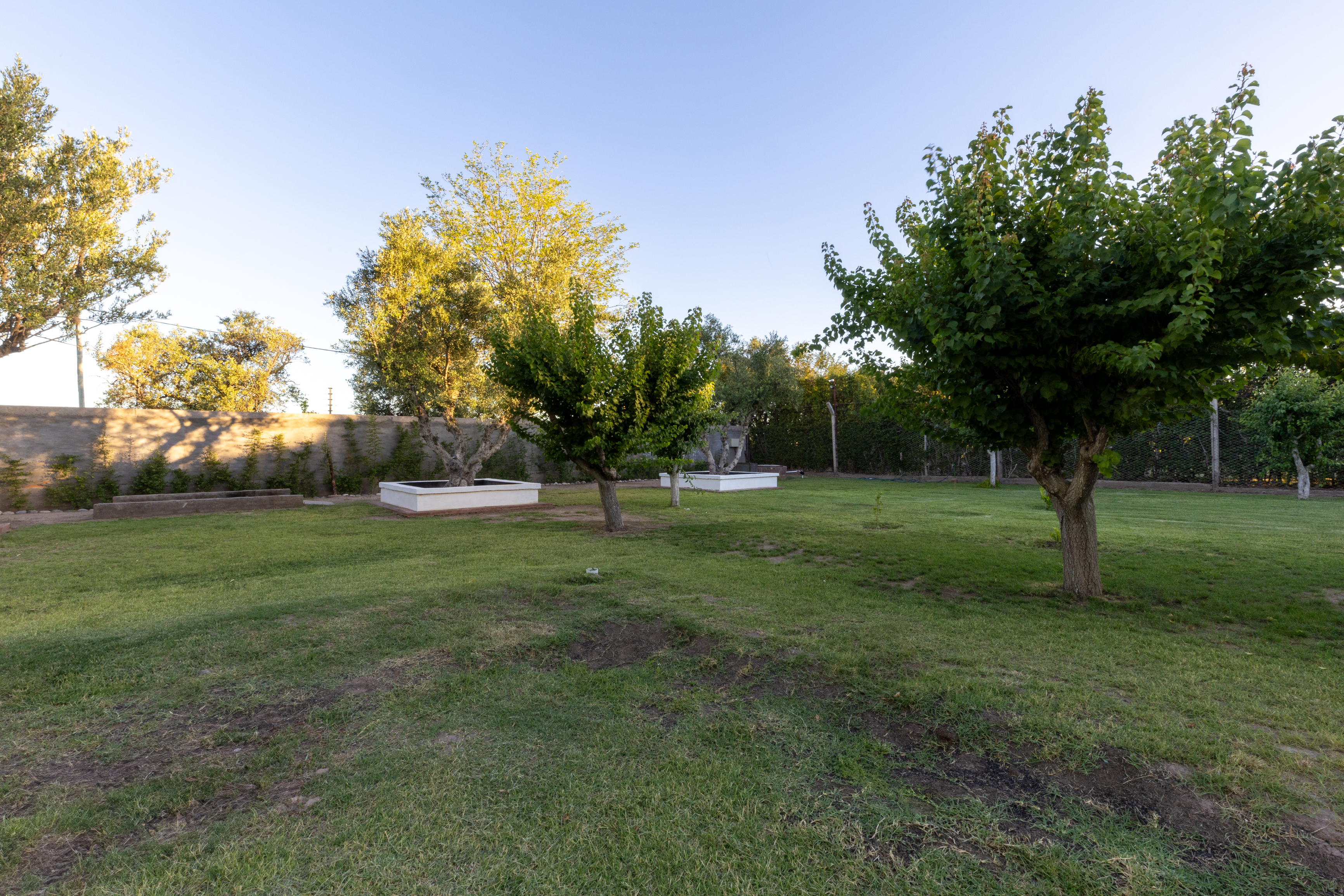 VENDO 2 Casas de Categoria con produccion de Olivos San Rafael Mendoza Argentina - Imagen ampliada 18
