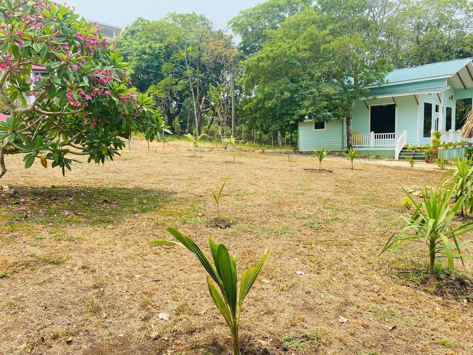 BEAUTIFUL HOME FOR SALE IN PUMPKIN HILL UTILA BAY ISLANDS OF HONDURAS - Plano 4
