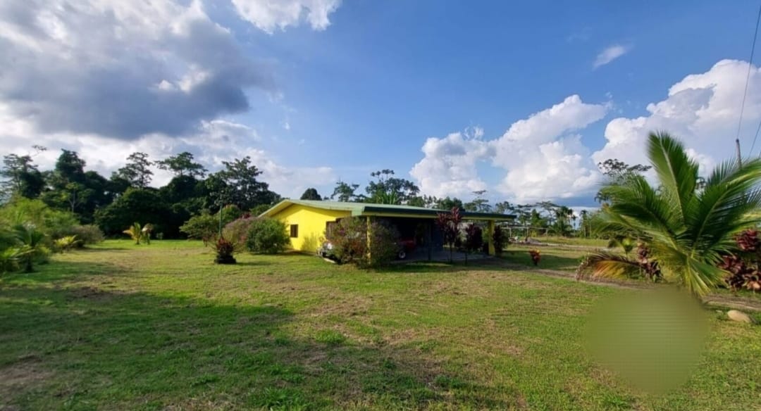 Finca en Sarapiqui Costa Rica - Imagen ampliada 4