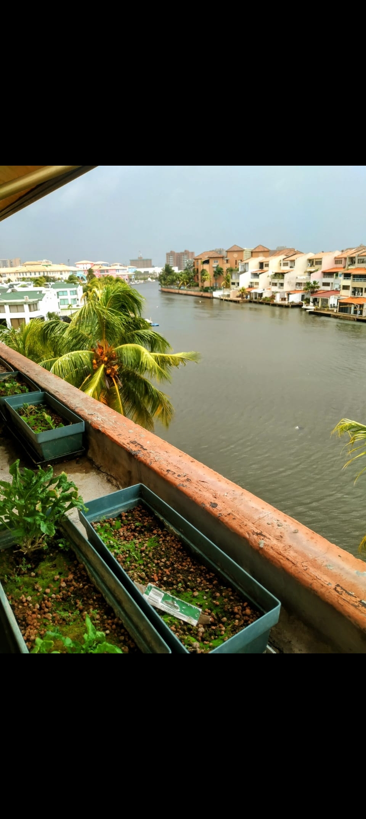Apartamento en venta en Conjunto Residencial Pelícano Lechería Estado Anzoátegui - Imagen ampliada 7