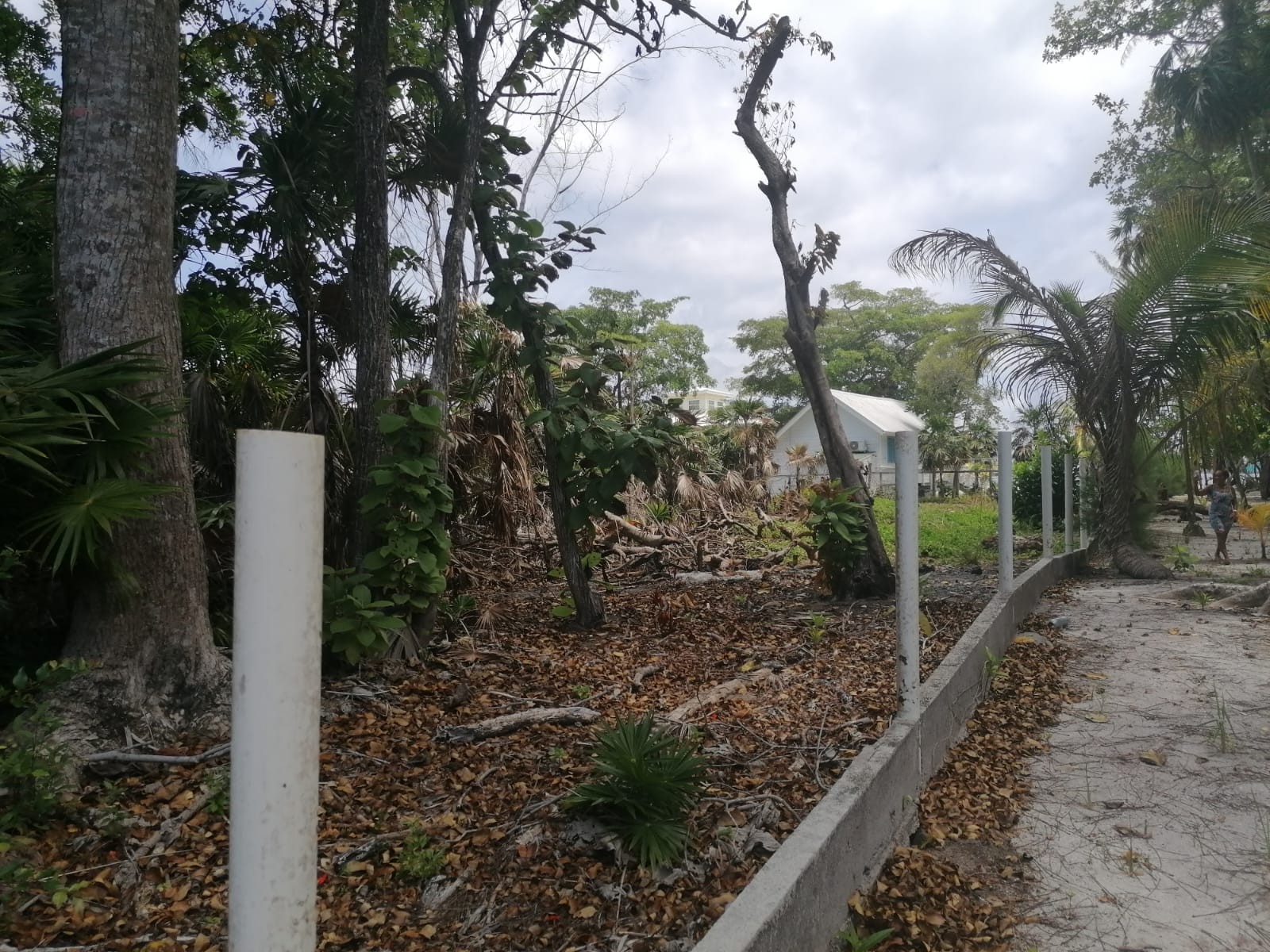 LOT IN DAVID BEACH IN UTILA BAY ISLANDS OF HONDURAS - Plano 4