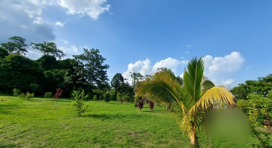 Finca en Sarapiqui Costa Rica - Imagen ampliada 5