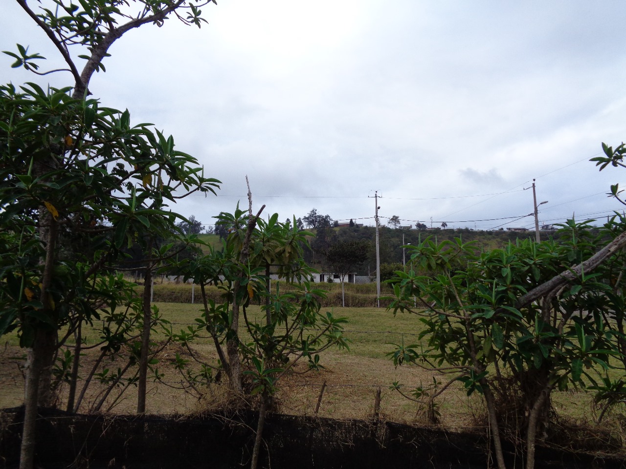 Terreno en venta - Imagen ampliada 17