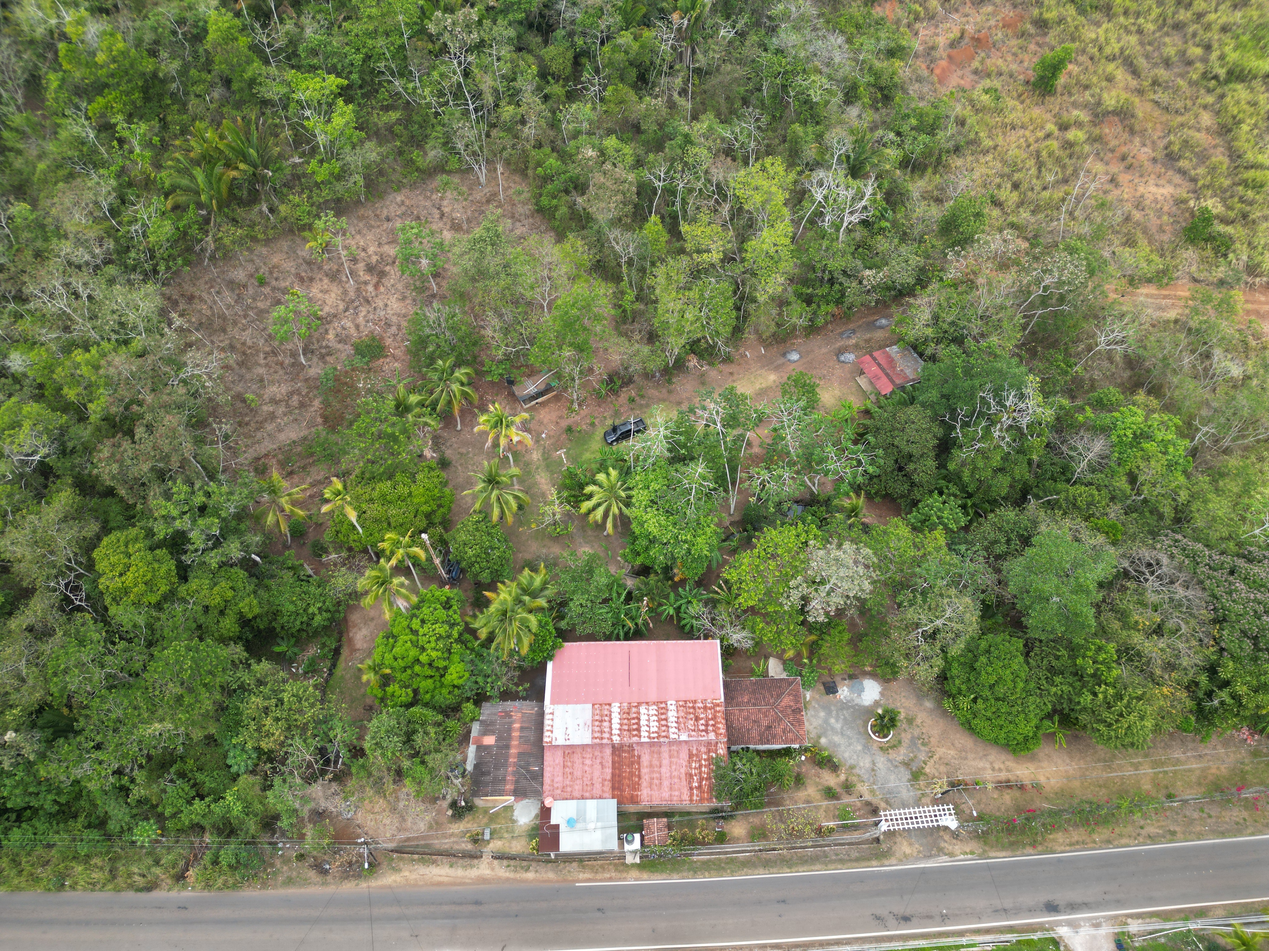 Oportunidad única de inversión Finca de 30000 m2 en Arado Río Congo La Chorrera - Imagen ampliada 16