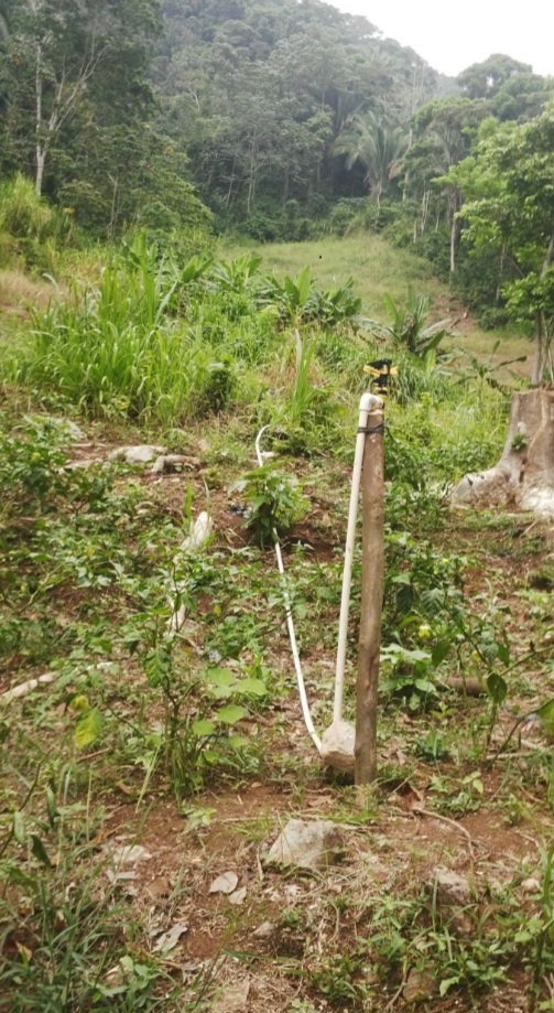 PROPIEDAD EN RIO CANGREJAL Honduras - Imagen ampliada 5