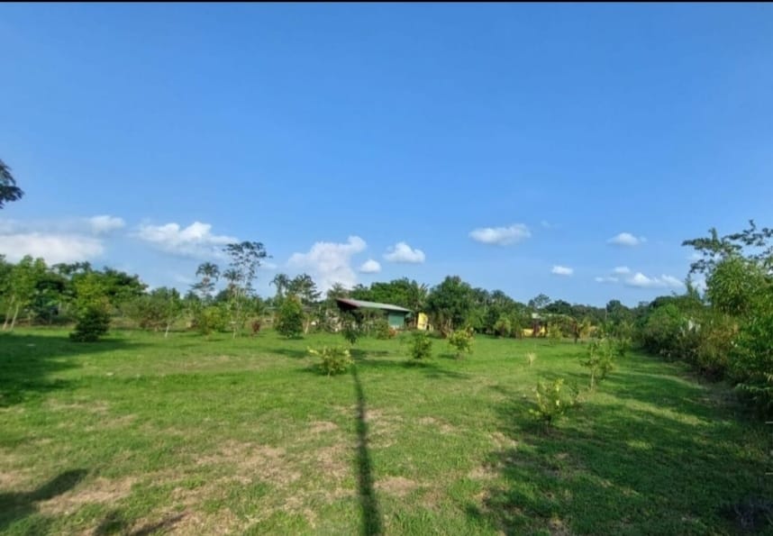 Finca en Sarapiqui Costa Rica - Imagen ampliada 2