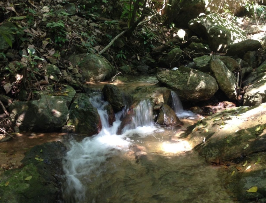 PROPIEDAD EN RIO CANGREJAL Honduras - Imagen ampliada 1